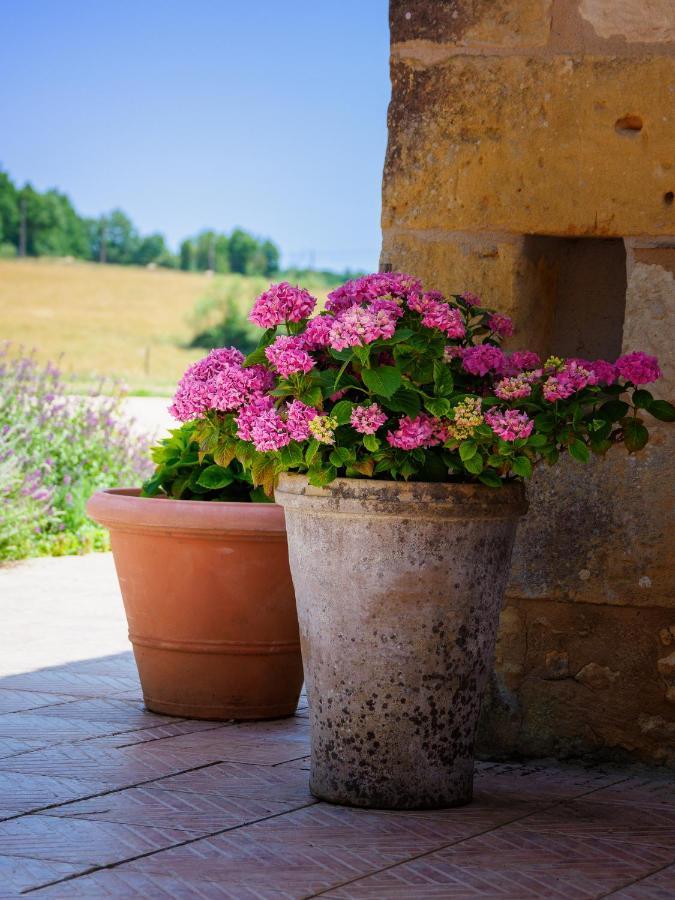 Le Nid De Faucons Villa Lalinde Exteriör bild